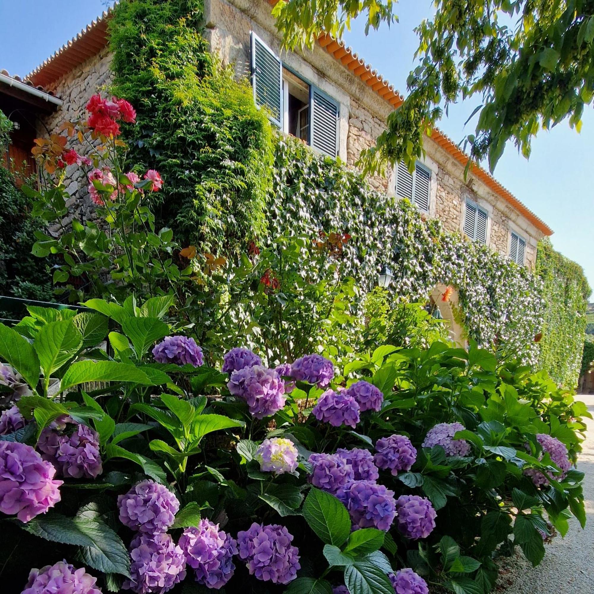 Casa De Sao Miguel Douro Hotel Armamar Quarto foto